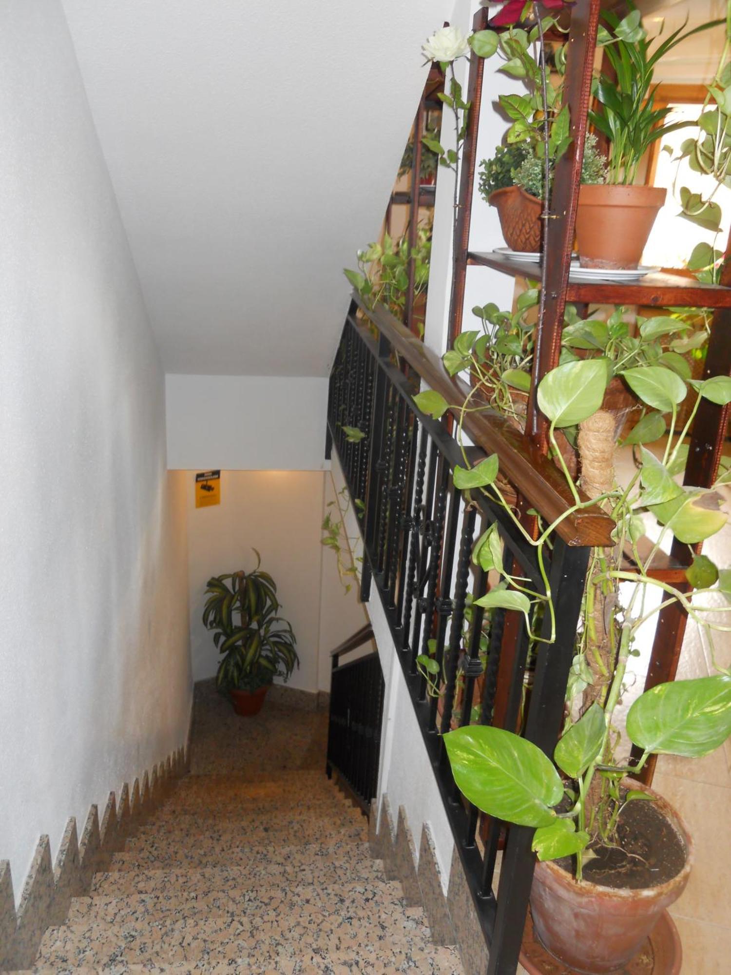 Hostal El Descanso Madrid Exterior foto